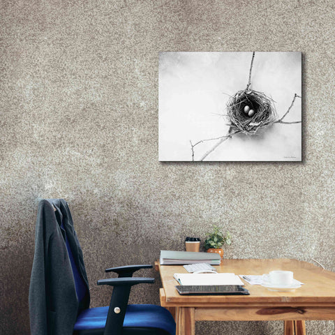 Image of 'Nest and Branch IV' by Debra Van Swearingen, Canvas Wall Art,34 x 26