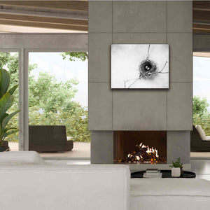 'Nest and Branch IV' by Debra Van Swearingen, Canvas Wall Art,34 x 26