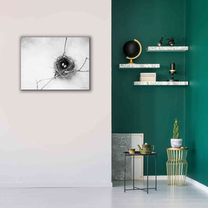 'Nest and Branch IV' by Debra Van Swearingen, Canvas Wall Art,34 x 26