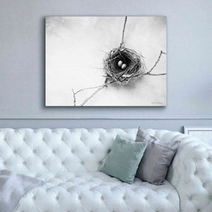 'Nest and Branch IV' by Debra Van Swearingen, Canvas Wall Art,54 x 40