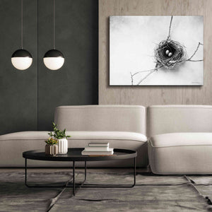 'Nest and Branch IV' by Debra Van Swearingen, Canvas Wall Art,54 x 40
