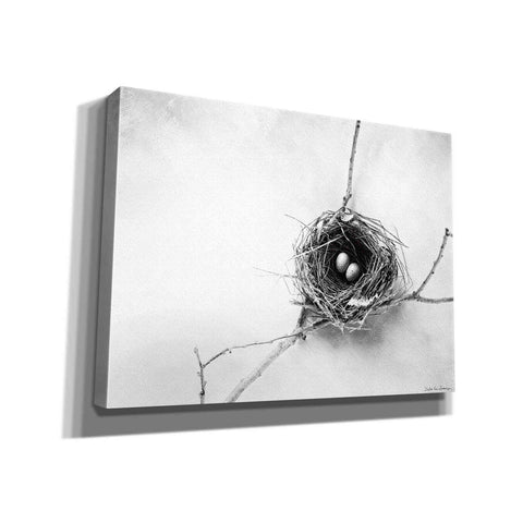 Image of 'Nest and Branch IV' by Debra Van Swearingen, Canvas Wall Art,16x12x1.1x0,26x18x1.1x0,34x26x1.74x0,54x40x1.74x0