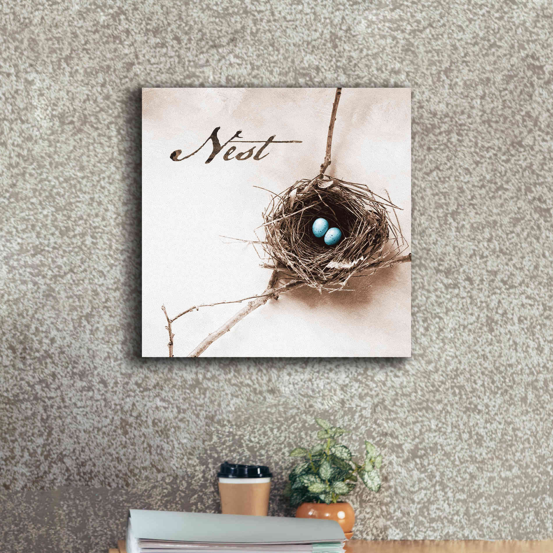 'Nest and Branch IV - Nest' by Debra Van Swearingen, Canvas Wall Art,18 x 18