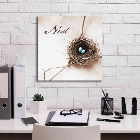 Image of 'Nest and Branch IV - Nest' by Debra Van Swearingen, Canvas Wall Art,18 x 18