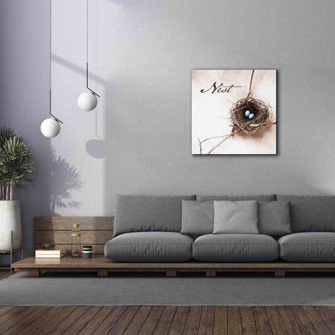 Image of 'Nest and Branch IV - Nest' by Debra Van Swearingen, Canvas Wall Art,37 x 37