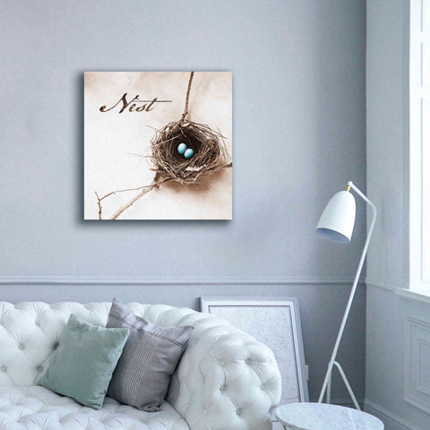 Image of 'Nest and Branch IV - Nest' by Debra Van Swearingen, Canvas Wall Art,37 x 37