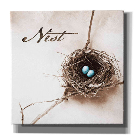 Image of 'Nest and Branch IV - Nest' by Debra Van Swearingen, Canvas Wall Art,12x12x1.1x0,18x18x1.1x0,26x26x1.74x0,37x37x1.74x0