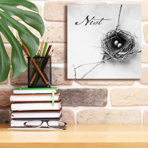 'Nest and Branch IV - Nest B&W' by Debra Van Swearingen, Canvas Wall Art,12 x 12