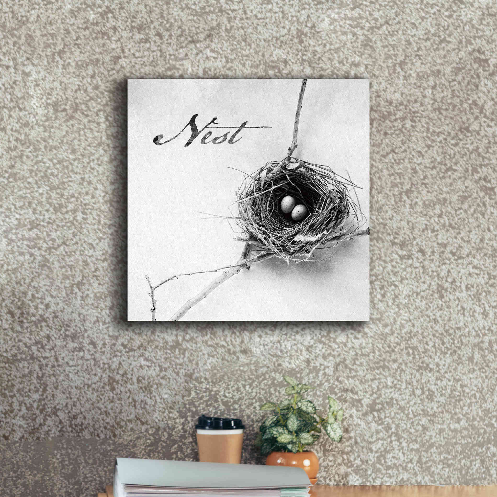 'Nest and Branch IV - Nest B&W' by Debra Van Swearingen, Canvas Wall Art,18 x 18