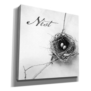 'Nest and Branch IV - Nest B&W' by Debra Van Swearingen, Canvas Wall Art,12x12x1.1x0,18x18x1.1x0,26x26x1.74x0,37x37x1.74x0
