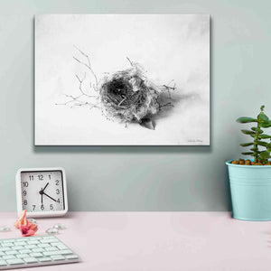 'Nestled III' by Debra Van Swearingen, Canvas Wall Art,16 x 12