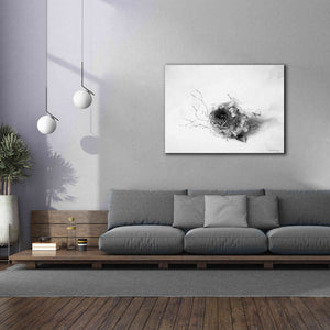 'Nestled III' by Debra Van Swearingen, Canvas Wall Art,54 x 40