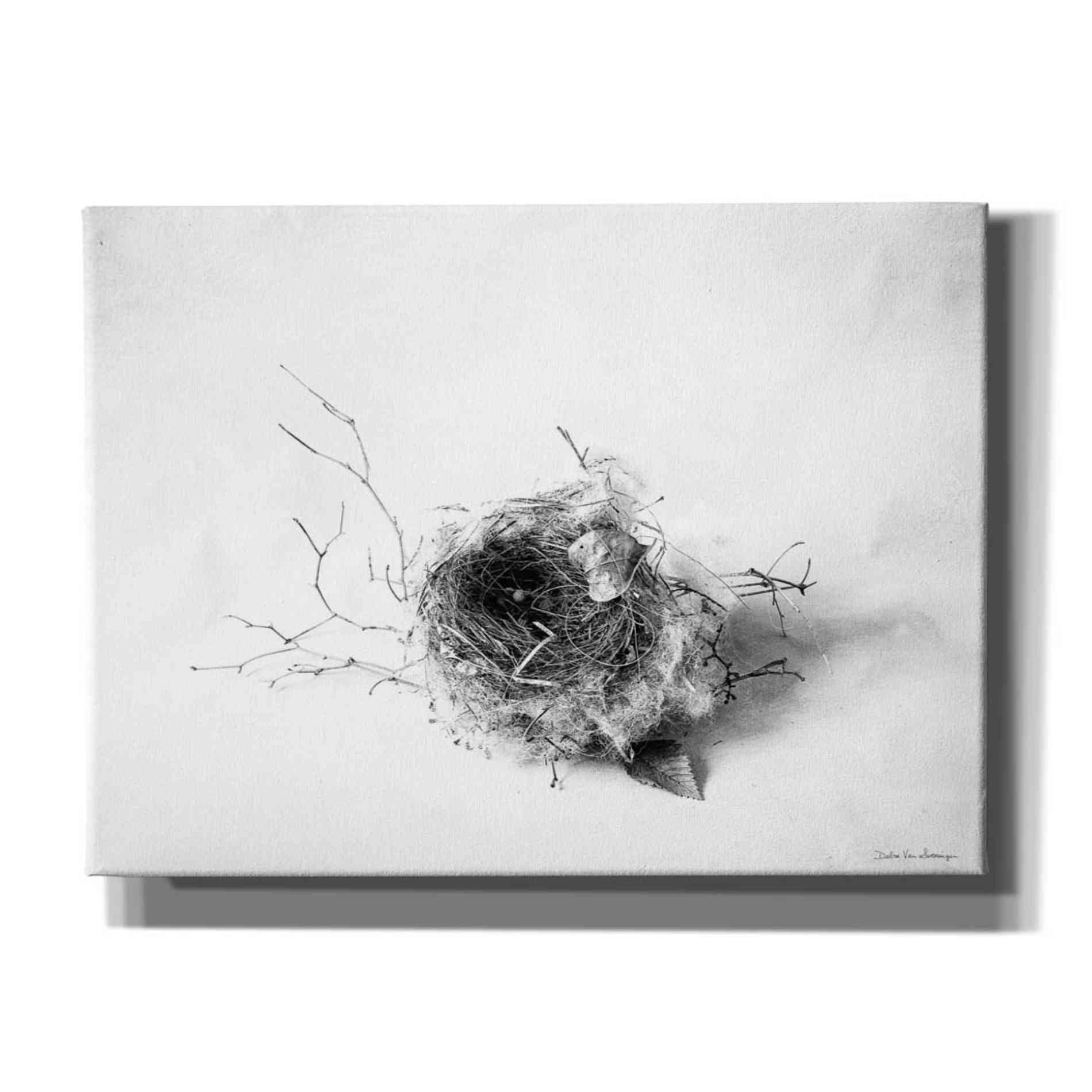 'Nestled III' by Debra Van Swearingen, Canvas Wall Art,16x12x1.1x0,26x18x1.1x0,34x26x1.74x0,54x40x1.74x0