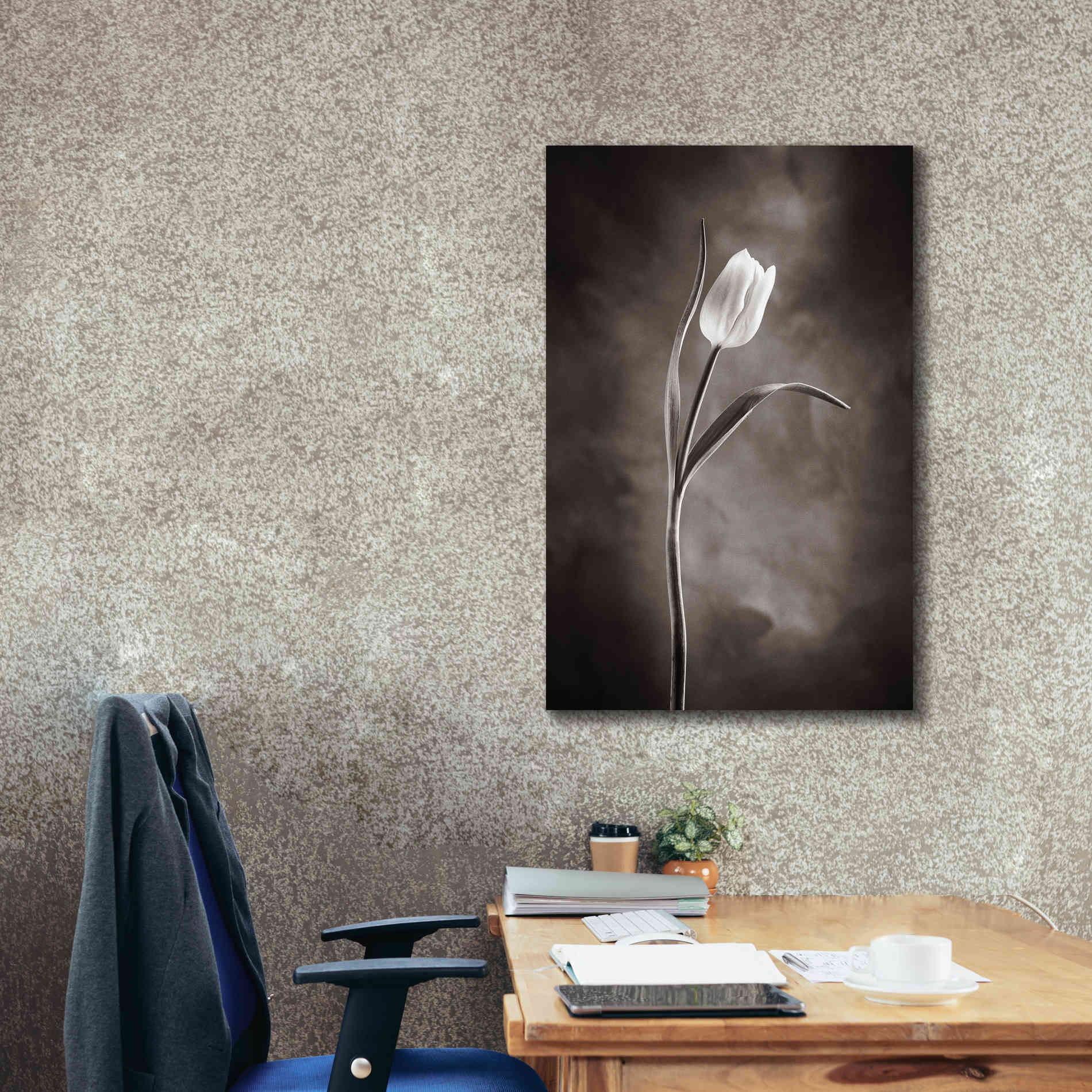 'Two Tone Tulips I' by Debra Van Swearingen, Canvas Wall Art,26 x 40