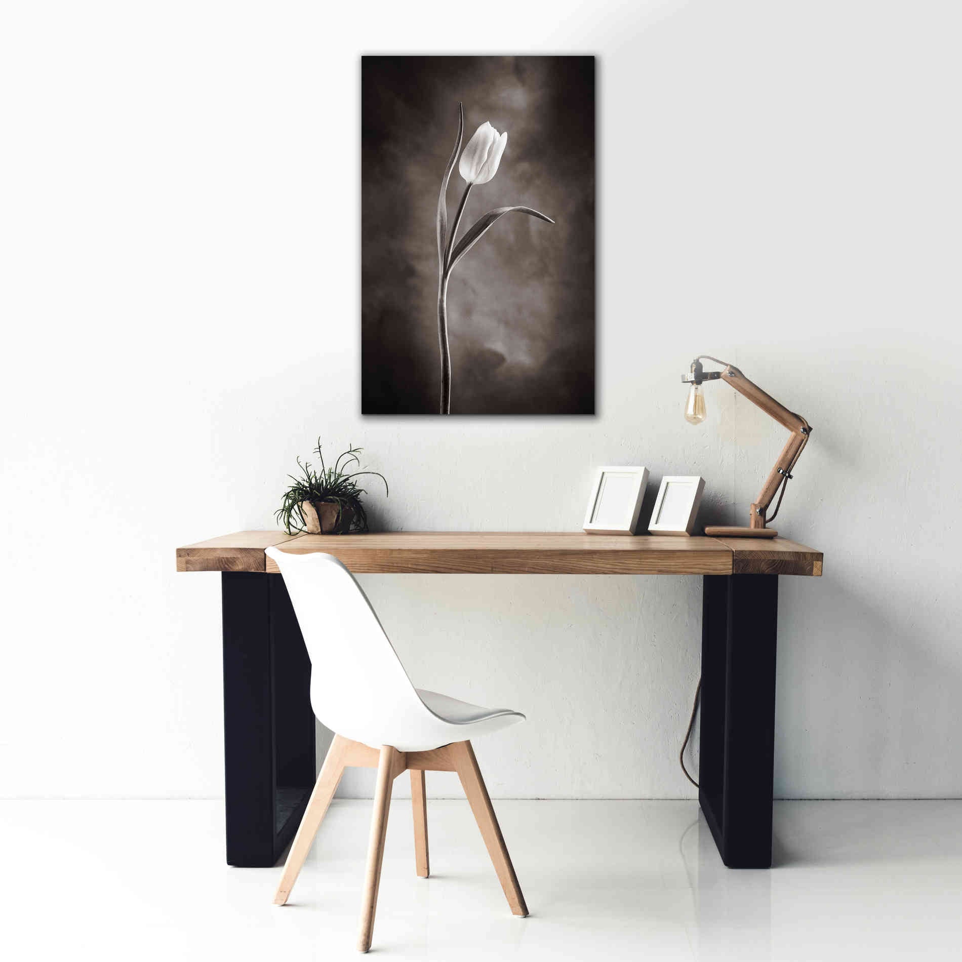 'Two Tone Tulips I' by Debra Van Swearingen, Canvas Wall Art,26 x 40