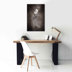 'Two Tone Tulips I' by Debra Van Swearingen, Canvas Wall Art,26 x 40