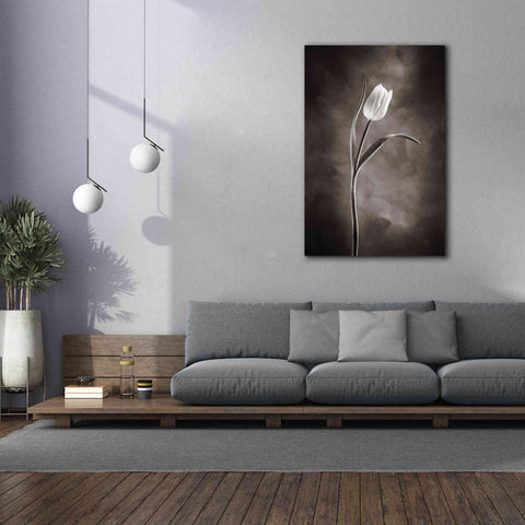 Image of 'Two Tone Tulips I' by Debra Van Swearingen, Canvas Wall Art,40 x 60