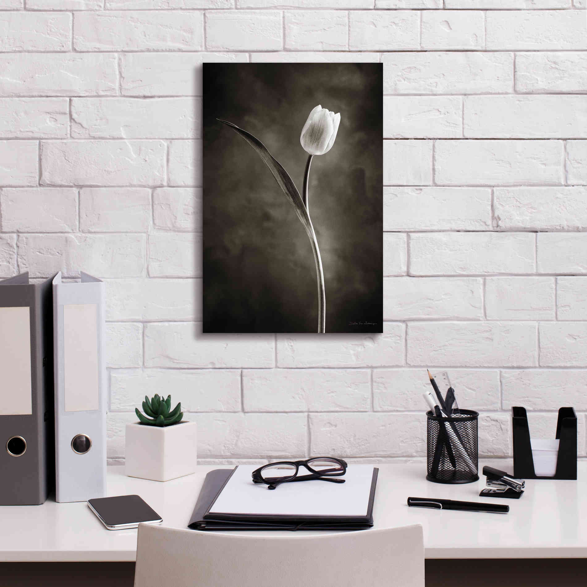 'Two Tone Tulips II' by Debra Van Swearingen, Canvas Wall Art,12 x 18