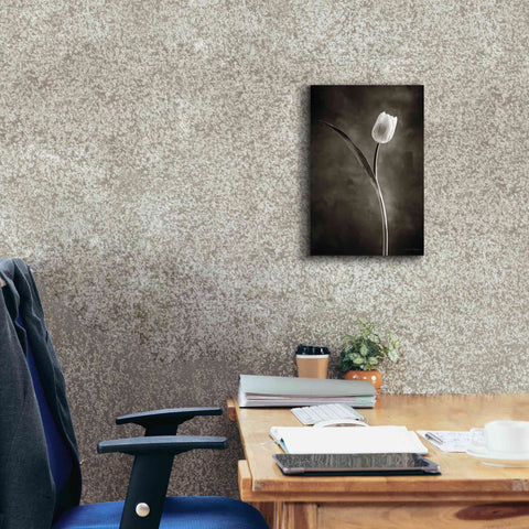 Image of 'Two Tone Tulips II' by Debra Van Swearingen, Canvas Wall Art,12 x 18