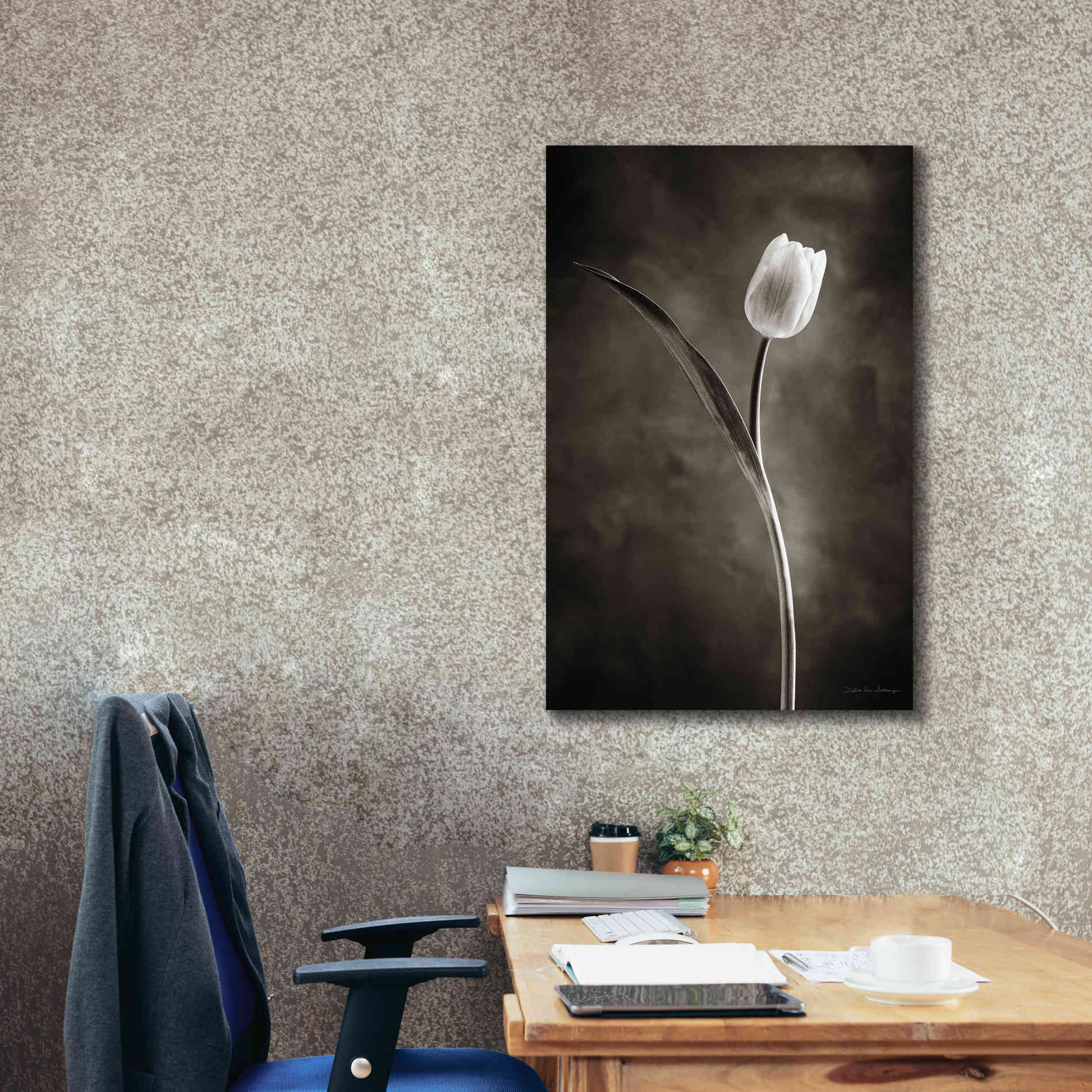 'Two Tone Tulips II' by Debra Van Swearingen, Canvas Wall Art,26 x 40