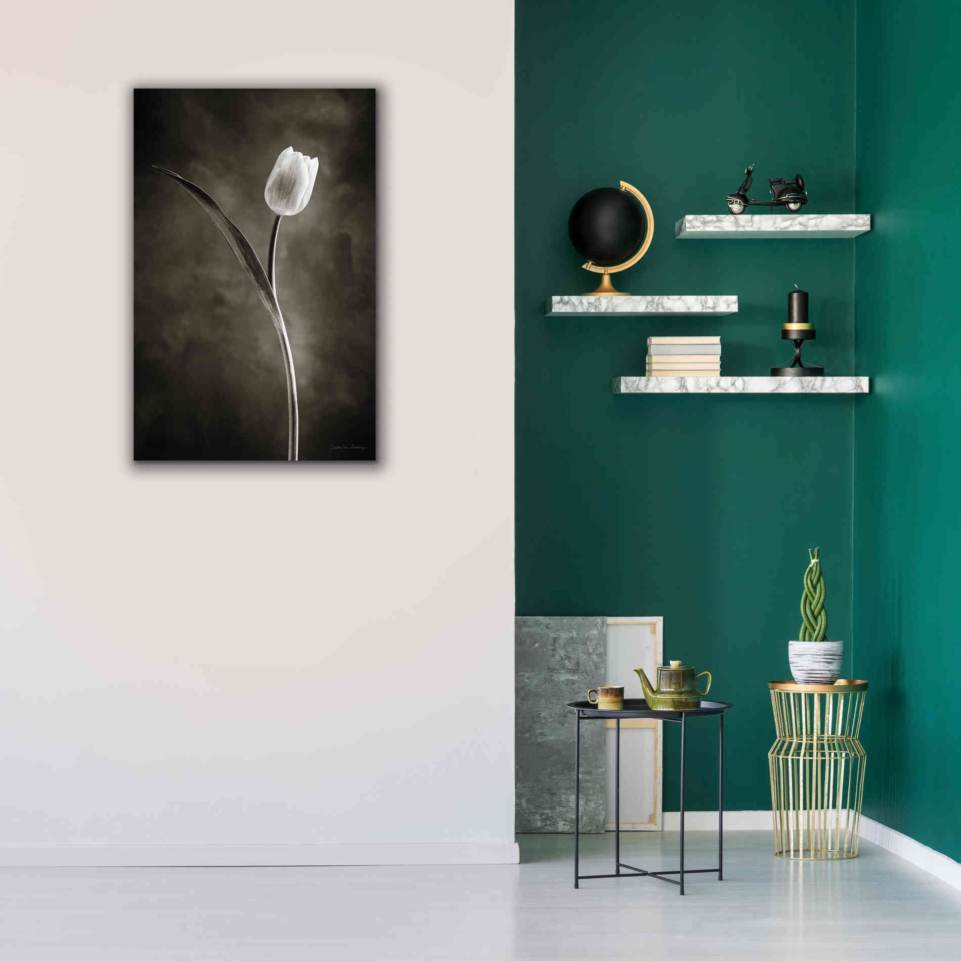 'Two Tone Tulips II' by Debra Van Swearingen, Canvas Wall Art,26 x 40