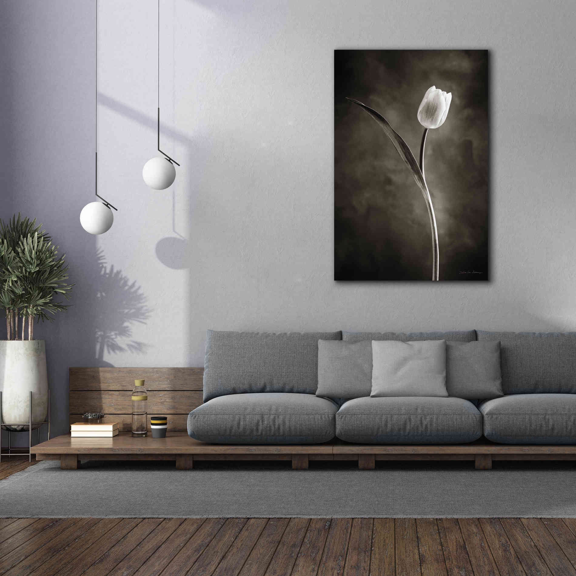 'Two Tone Tulips II' by Debra Van Swearingen, Canvas Wall Art,40 x 60