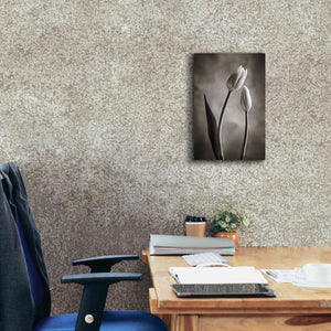 'Two Tone Tulips III' by Debra Van Swearingen, Canvas Wall Art,12 x 18