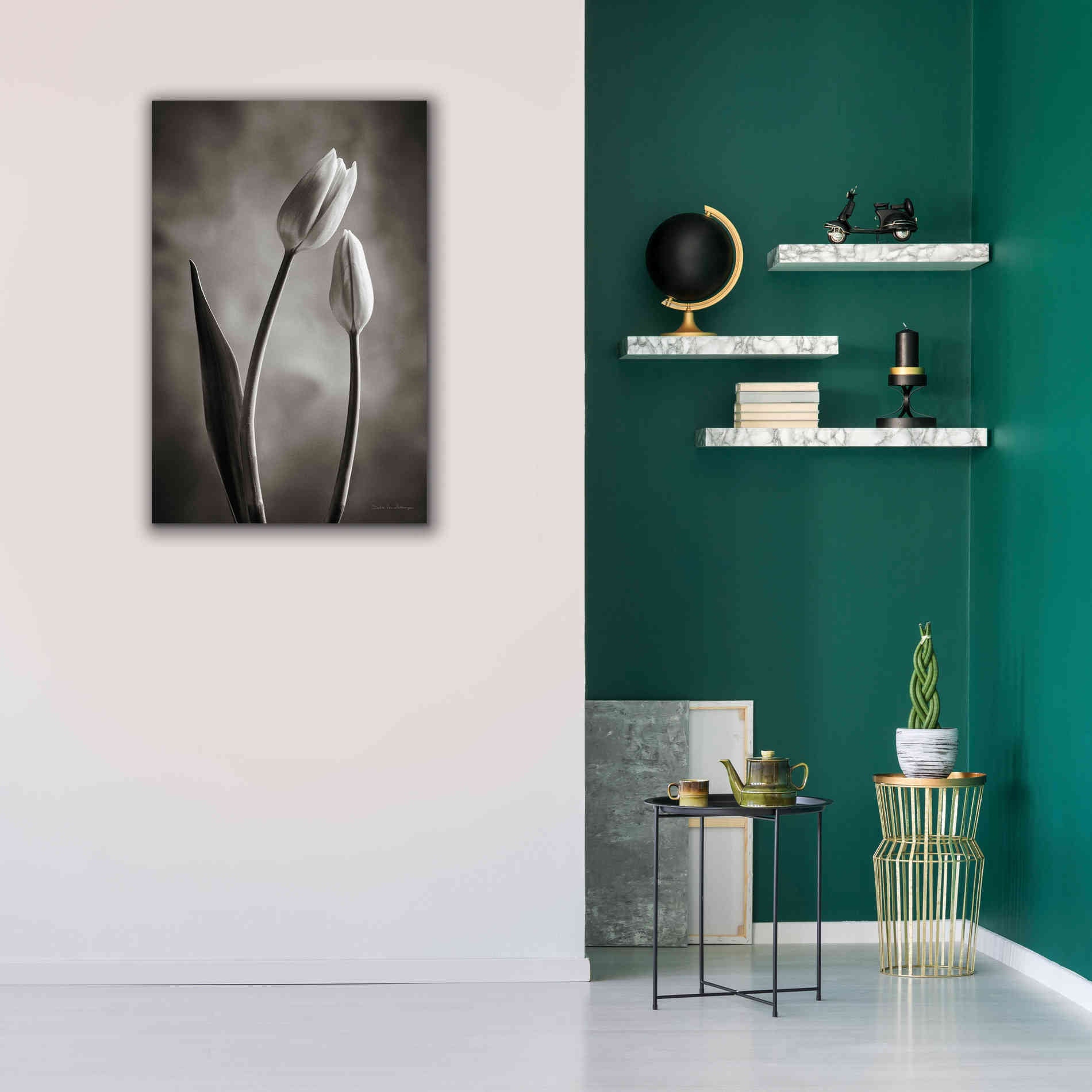 'Two Tone Tulips III' by Debra Van Swearingen, Canvas Wall Art,26 x 40
