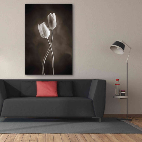 Image of 'Two Tone Tulips V' by Debra Van Swearingen, Canvas Wall Art,40 x 60