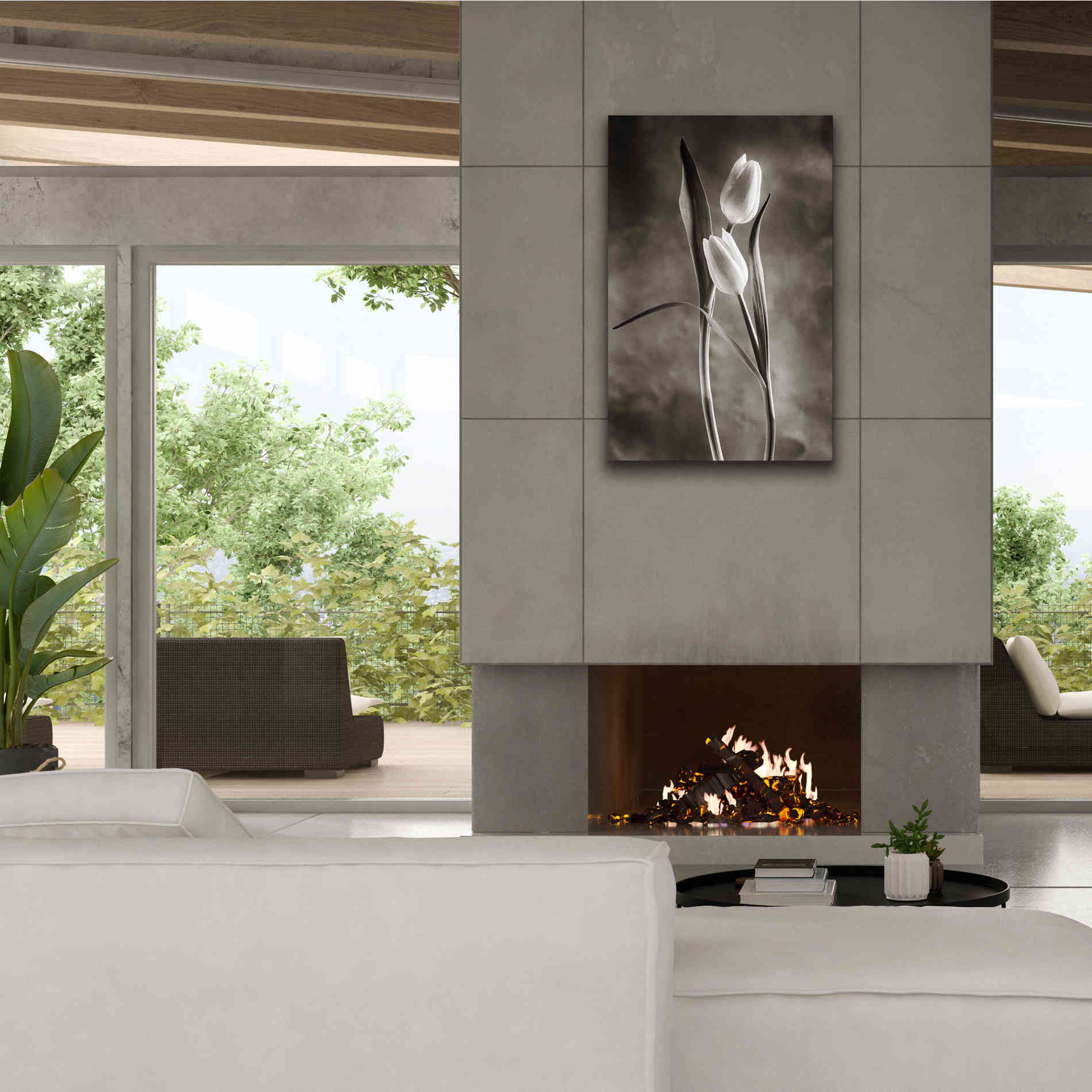 'Two Tone Tulips VI' by Debra Van Swearingen, Canvas Wall Art,26 x 40