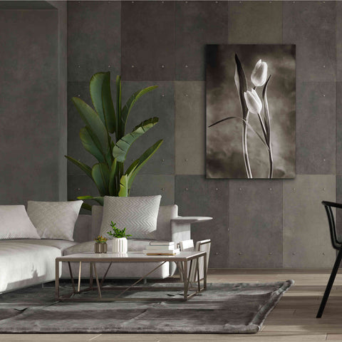 Image of 'Two Tone Tulips VI' by Debra Van Swearingen, Canvas Wall Art,40 x 60