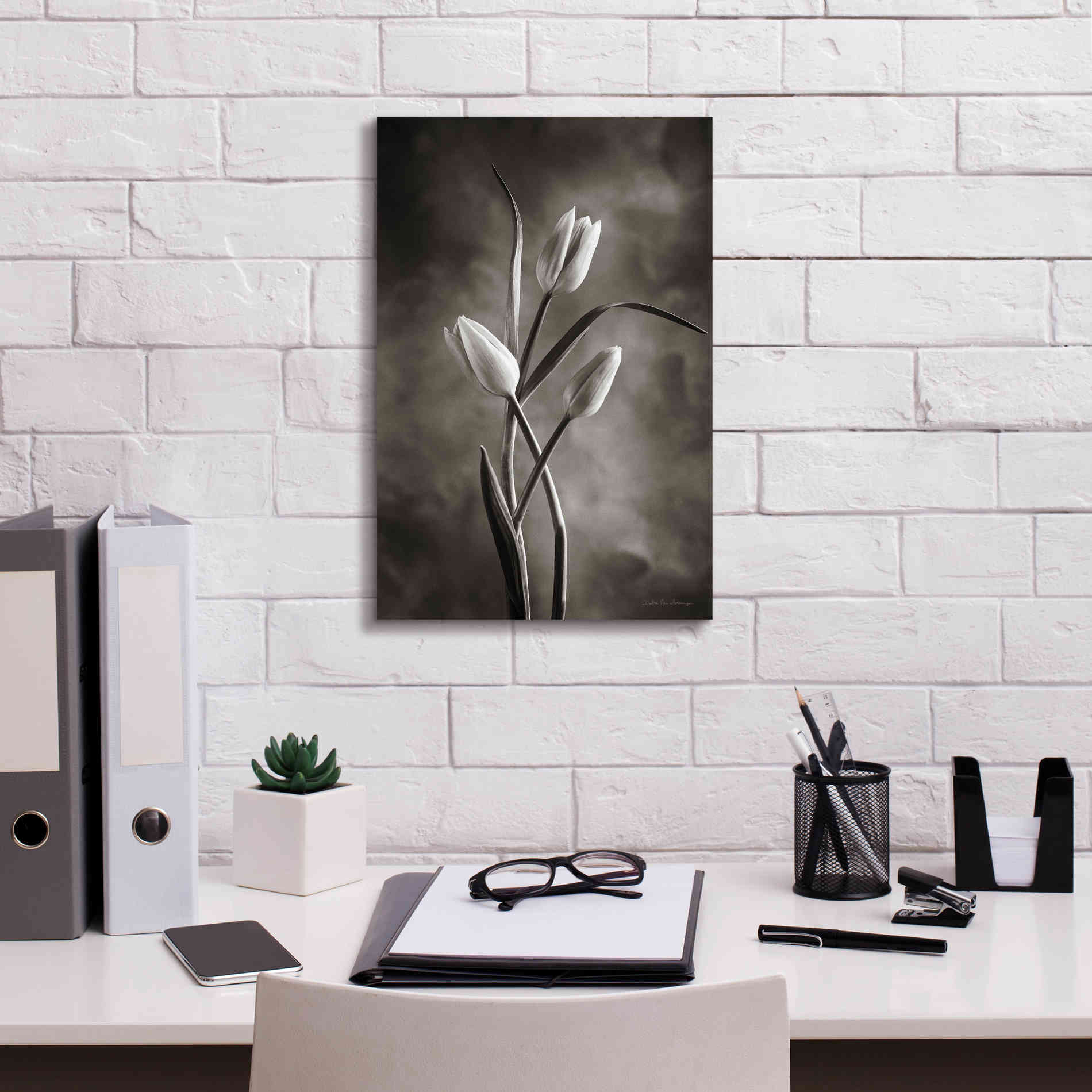 'Two Tone Tulips VII' by Debra Van Swearingen, Canvas Wall Art,12 x 18
