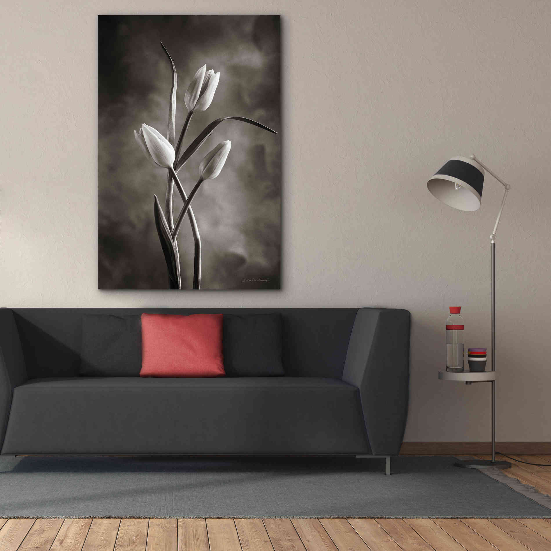 'Two Tone Tulips VII' by Debra Van Swearingen, Canvas Wall Art,40 x 60