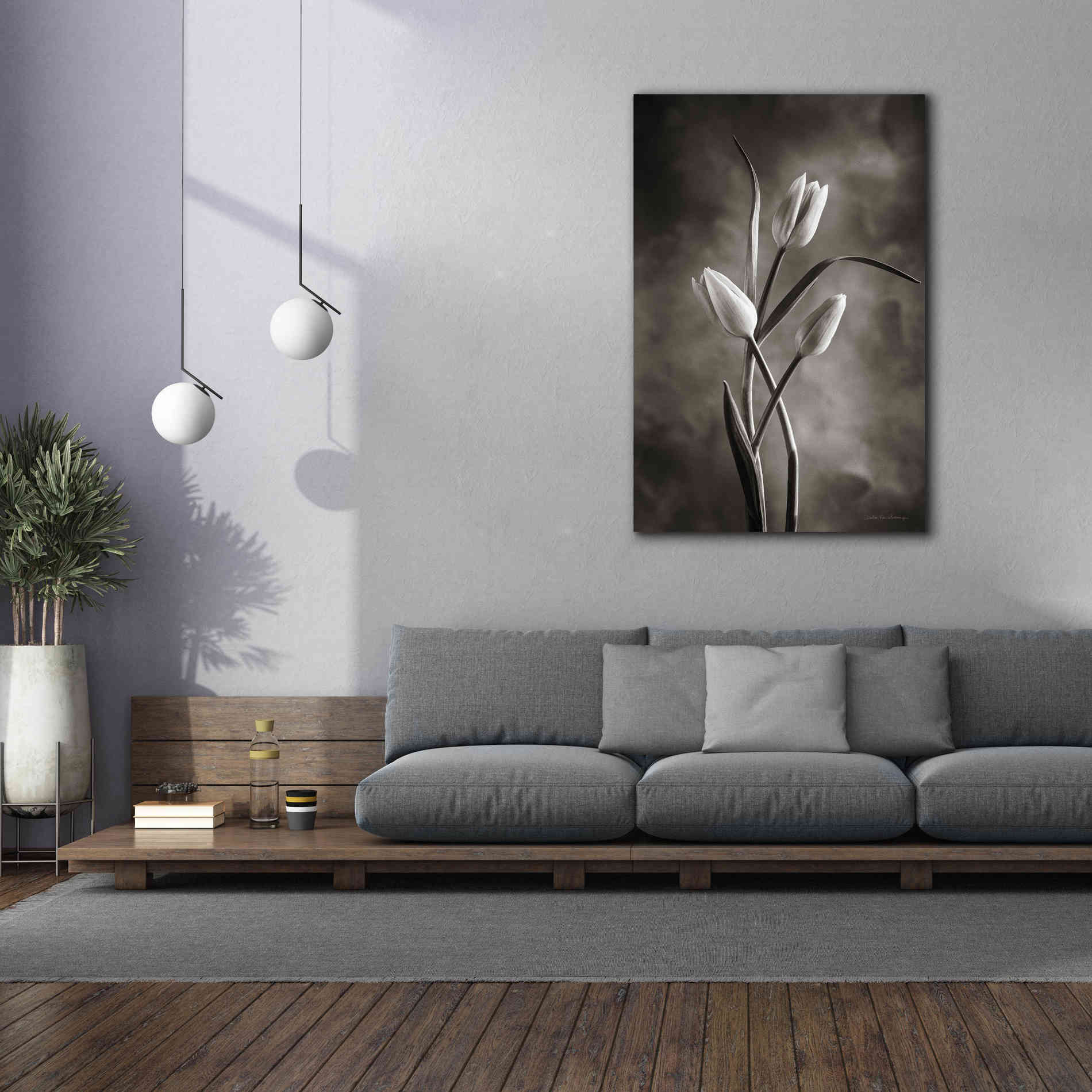 'Two Tone Tulips VII' by Debra Van Swearingen, Canvas Wall Art,40 x 60
