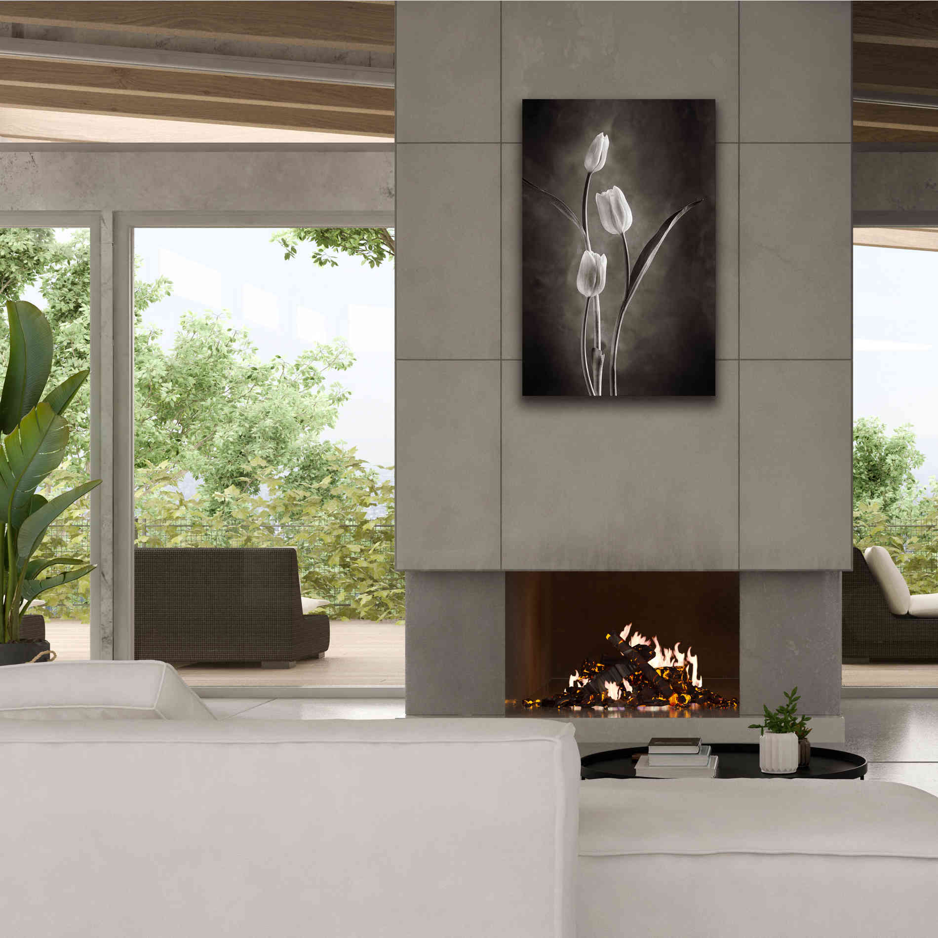 'Two Tone Tulips VIII' by Debra Van Swearingen, Canvas Wall Art,26 x 40