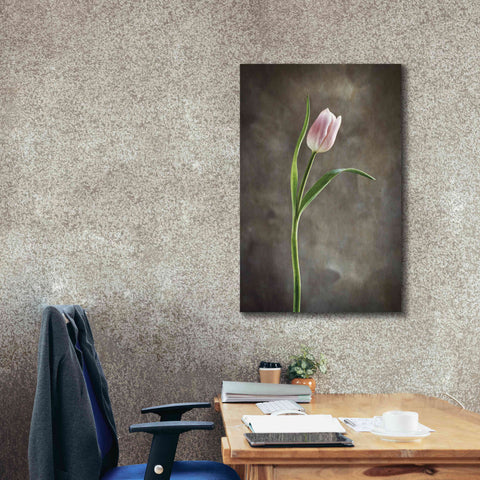 Image of 'Spring Tulips I' by Debra Van Swearingen, Canvas Wall Art,26 x 40