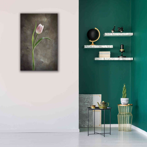 Image of 'Spring Tulips I' by Debra Van Swearingen, Canvas Wall Art,26 x 40