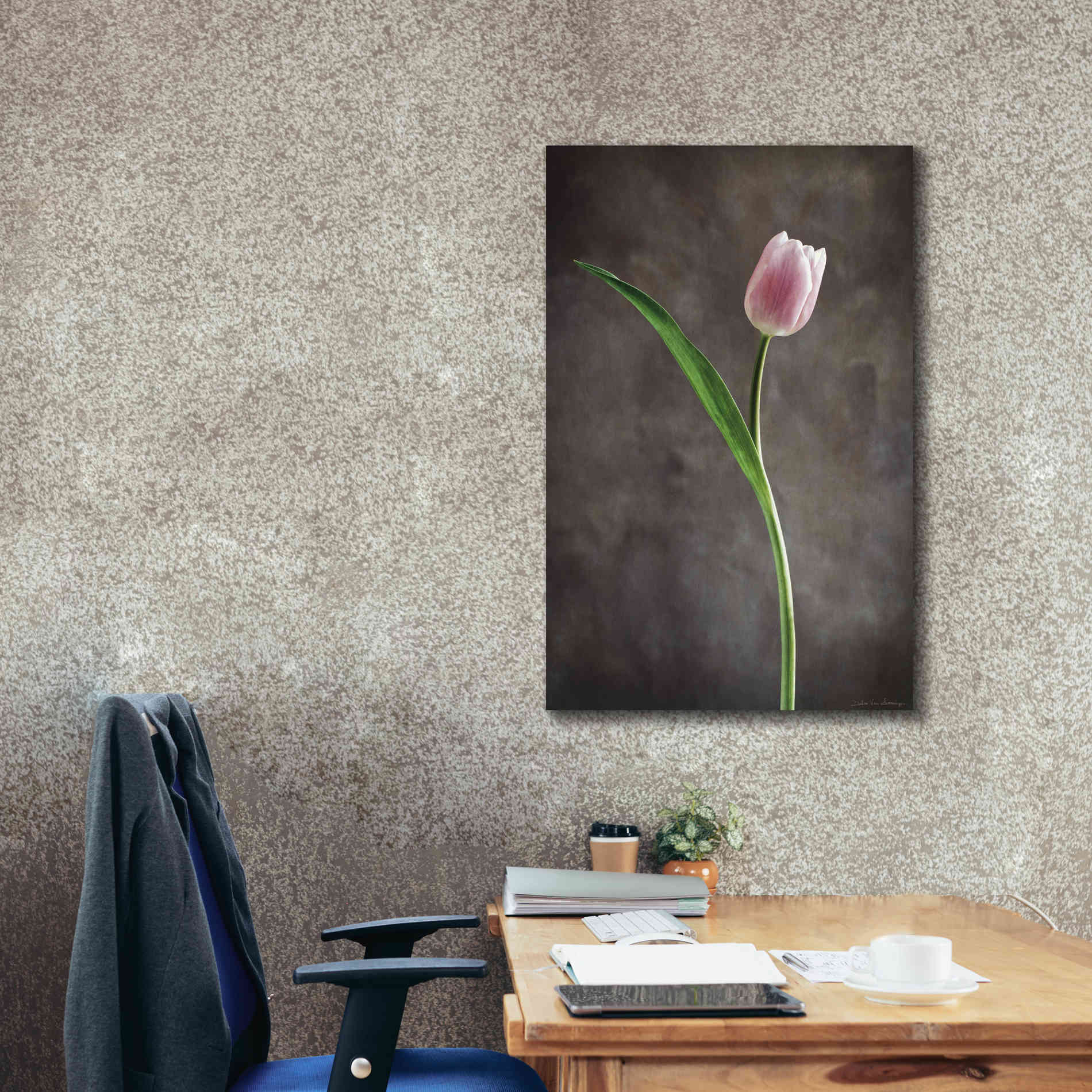 'Spring Tulips II' by Debra Van Swearingen, Canvas Wall Art,26 x 40
