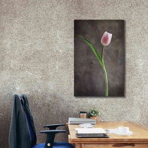 'Spring Tulips II' by Debra Van Swearingen, Canvas Wall Art,26 x 40