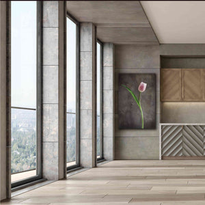 'Spring Tulips II' by Debra Van Swearingen, Canvas Wall Art,40 x 60