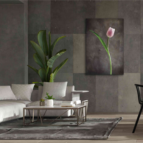Image of 'Spring Tulips II' by Debra Van Swearingen, Canvas Wall Art,40 x 60