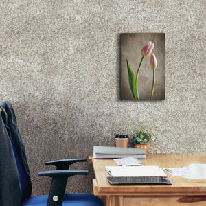 'Spring Tulips III' by Debra Van Swearingen, Canvas Wall Art,12 x 18