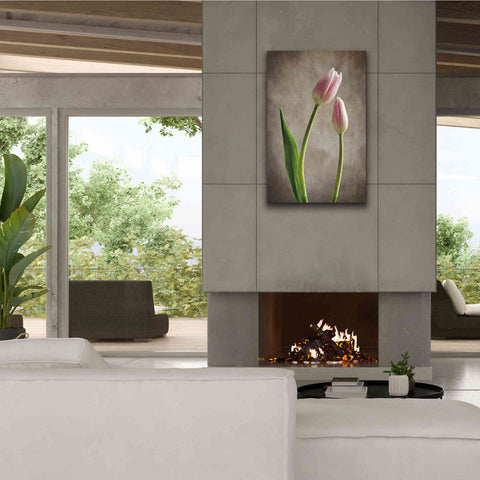 Image of 'Spring Tulips III' by Debra Van Swearingen, Canvas Wall Art,26 x 40