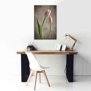 'Spring Tulips III' by Debra Van Swearingen, Canvas Wall Art,26 x 40