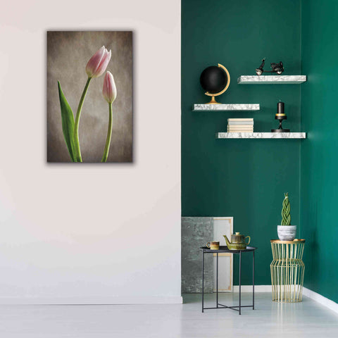 Image of 'Spring Tulips III' by Debra Van Swearingen, Canvas Wall Art,26 x 40