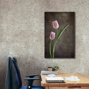 'Spring Tulips IV' by Debra Van Swearingen, Canvas Wall Art,26 x 40