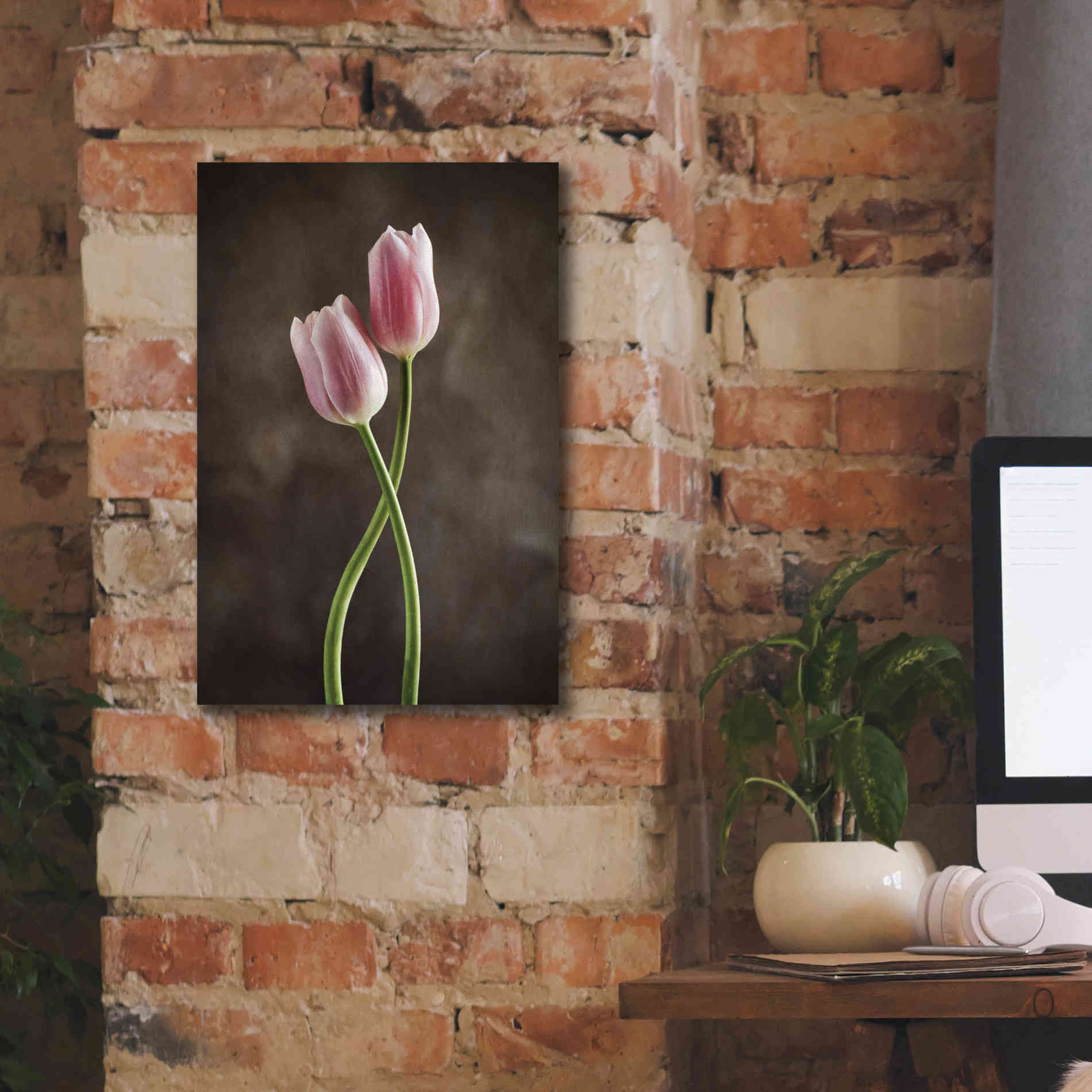 'Spring Tulips V' by Debra Van Swearingen, Canvas Wall Art,12 x 18