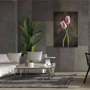 'Spring Tulips V' by Debra Van Swearingen, Canvas Wall Art,40 x 60