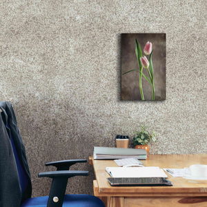'Spring Tulips VI' by Debra Van Swearingen, Canvas Wall Art,12 x 18