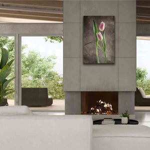 'Spring Tulips VI' by Debra Van Swearingen, Canvas Wall Art,26 x 40